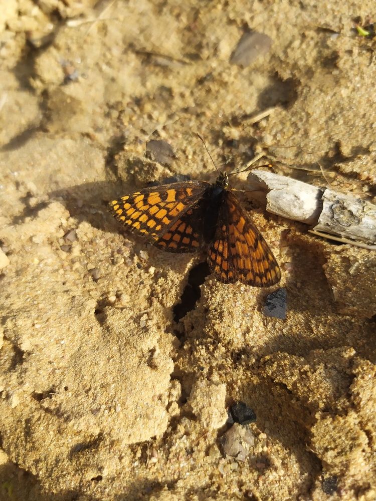 Photograph by Анастасия Солодкая