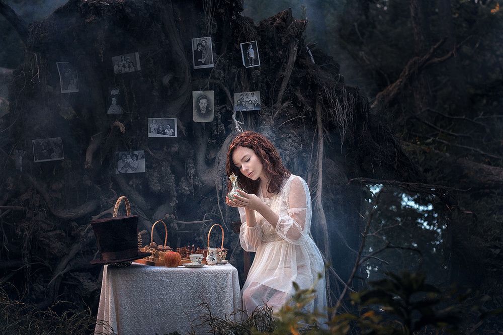 Alice in the magic forest