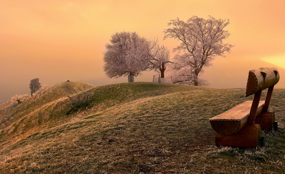 Photograph by Elena Wymann