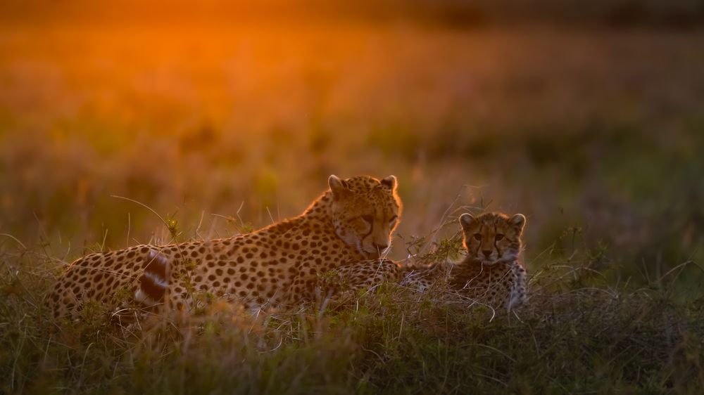 Photograph by Vignesh Ramachandran