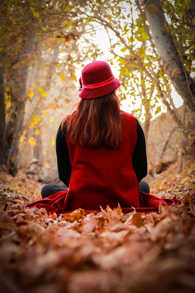 Фотография автора Hadi Nasirian