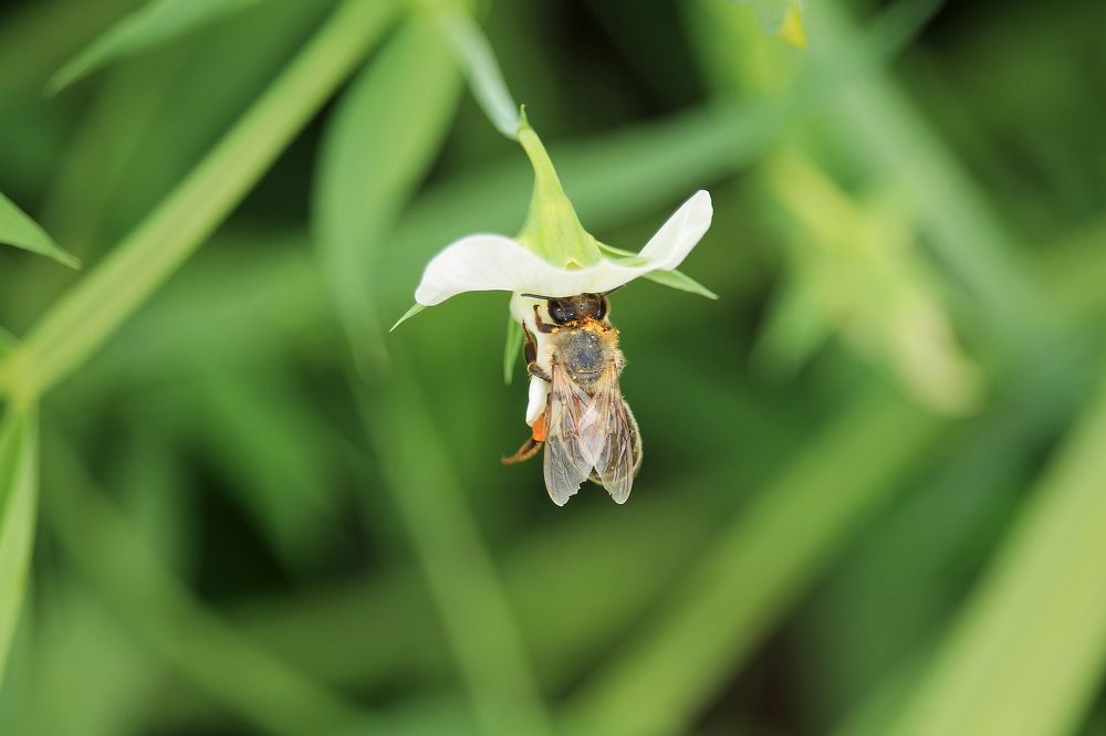 Photograph by Елена Атаманчук