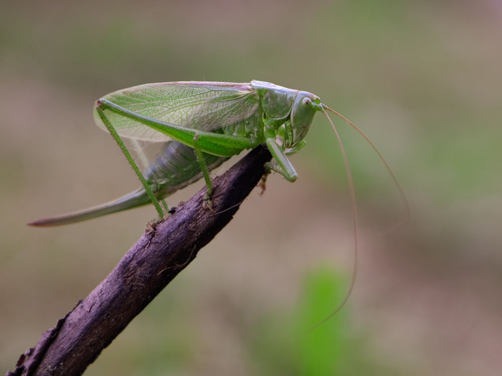 Photograph by Екатерина Слепнева