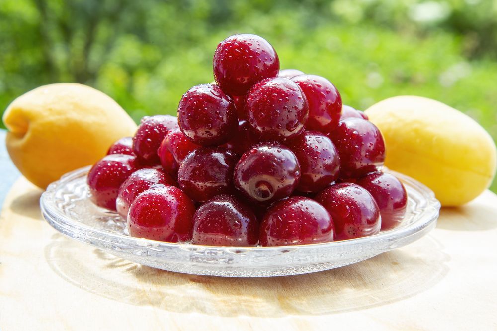 Photograph by Андрей Почечуй