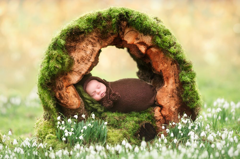 Photograph by Daniel Baksza