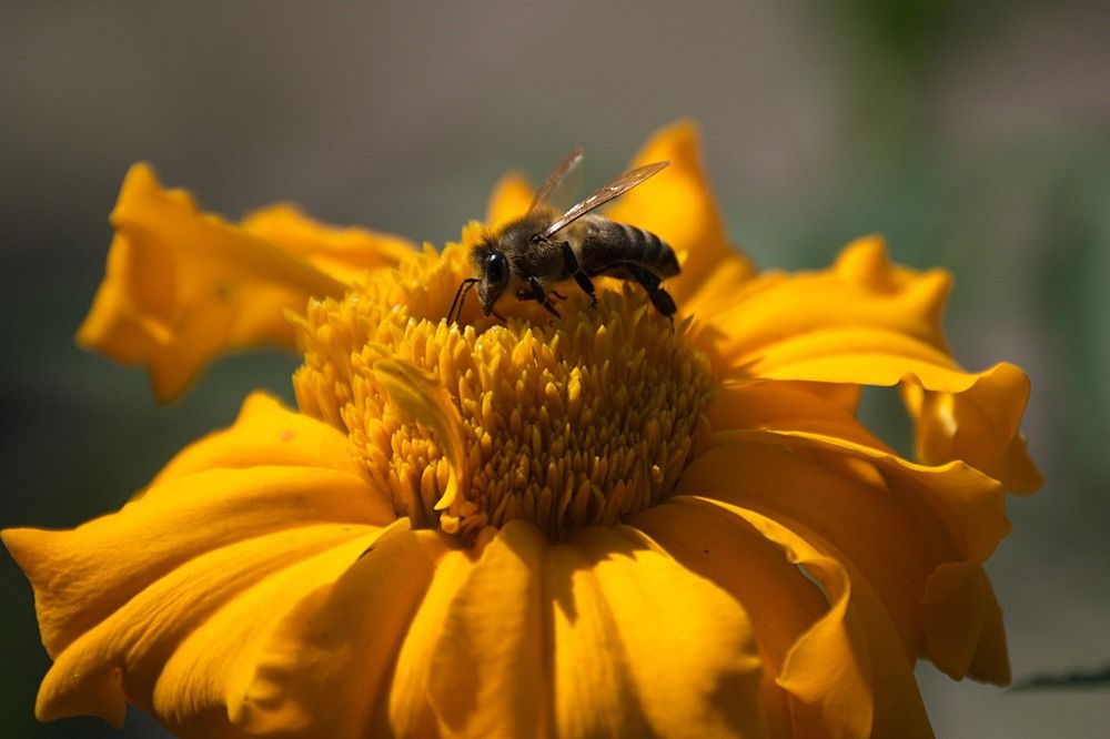 Photograph by Yroslava Veretina