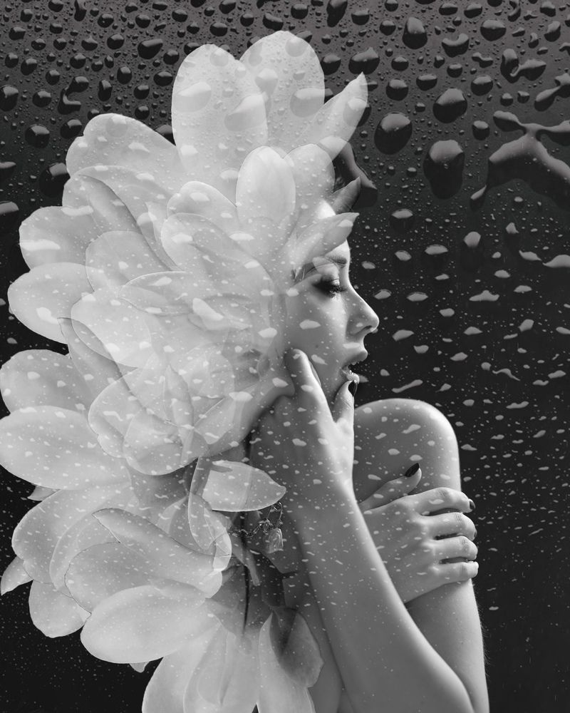 Фотография автора Альбина Богданова