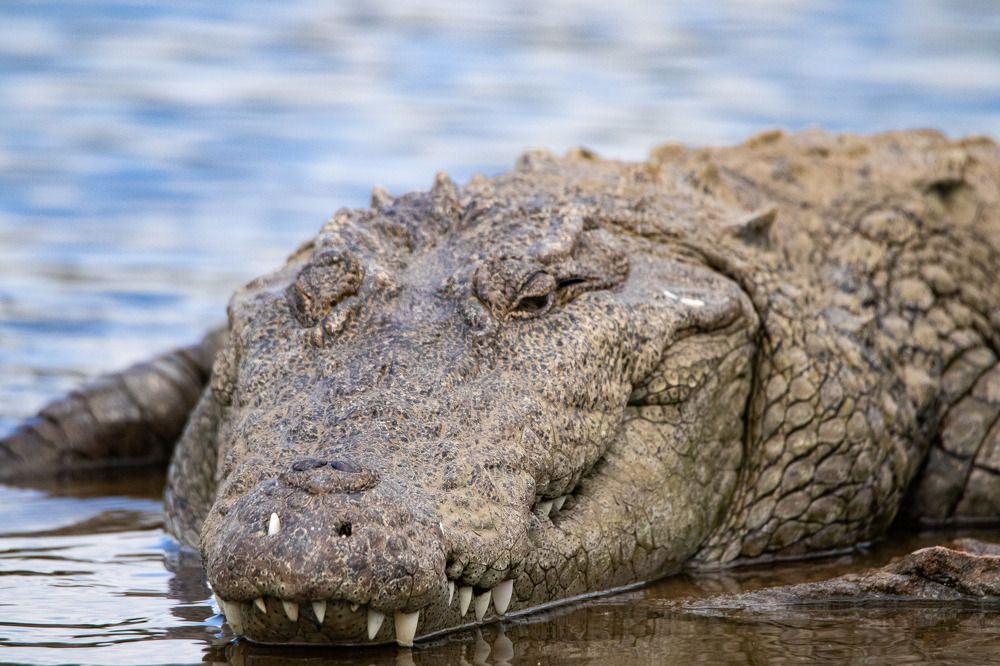 Photograph by AJITH B