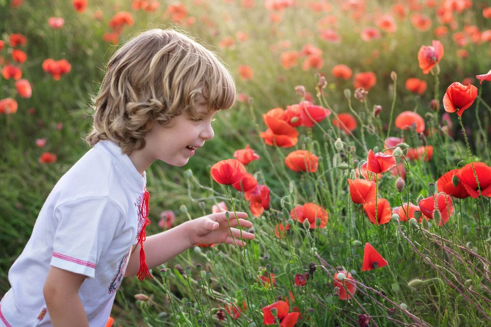 Photograph by Анна Пикаленко