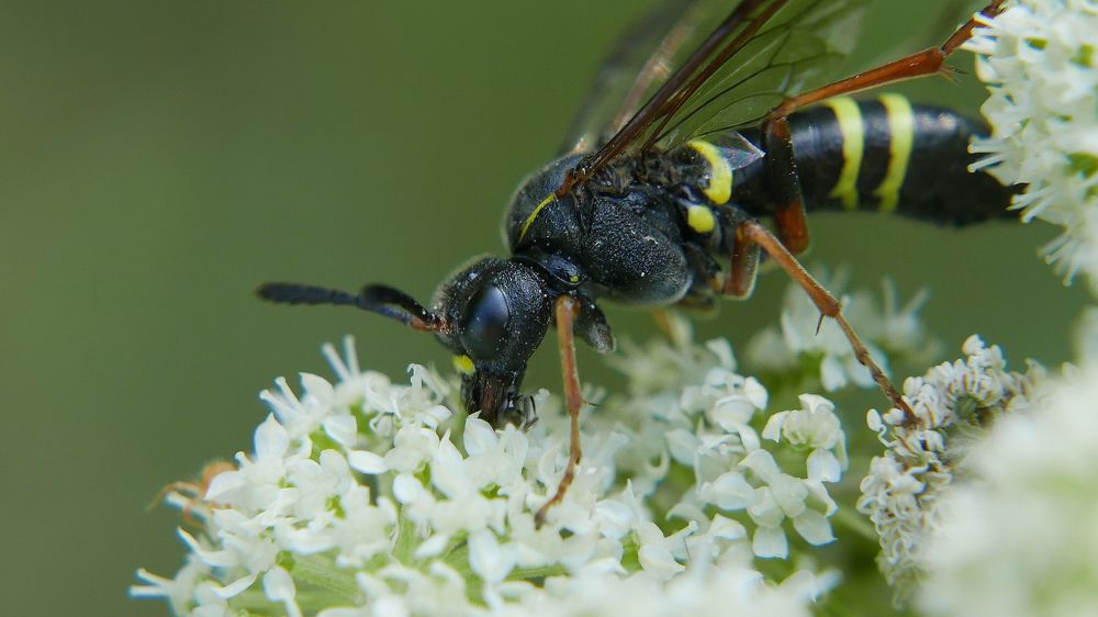 Photograph by Алексей Чернов