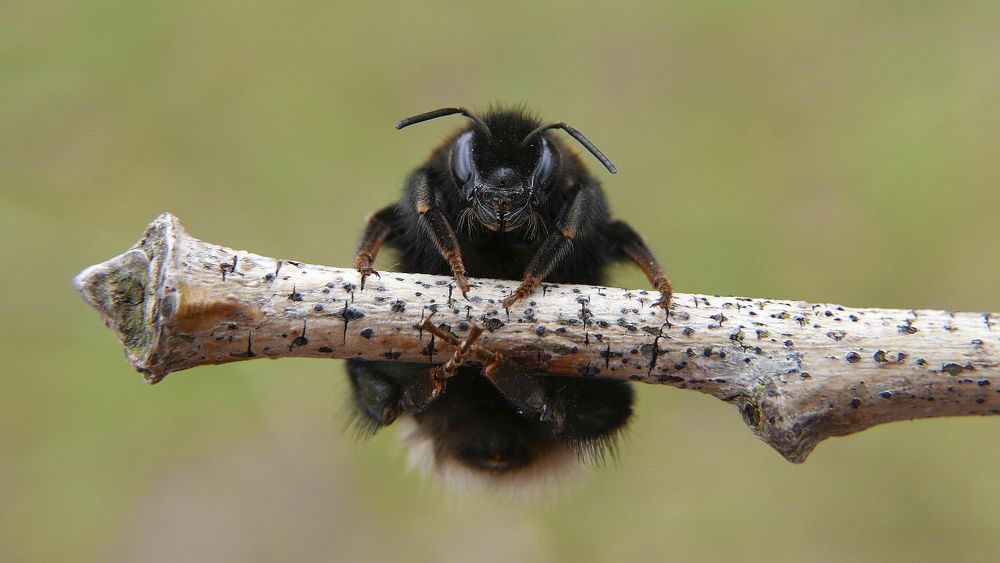 Photograph by Алексей Чернов