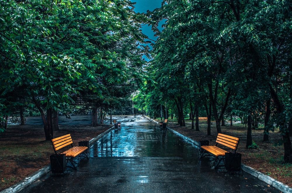 Photograph by Александр Раков