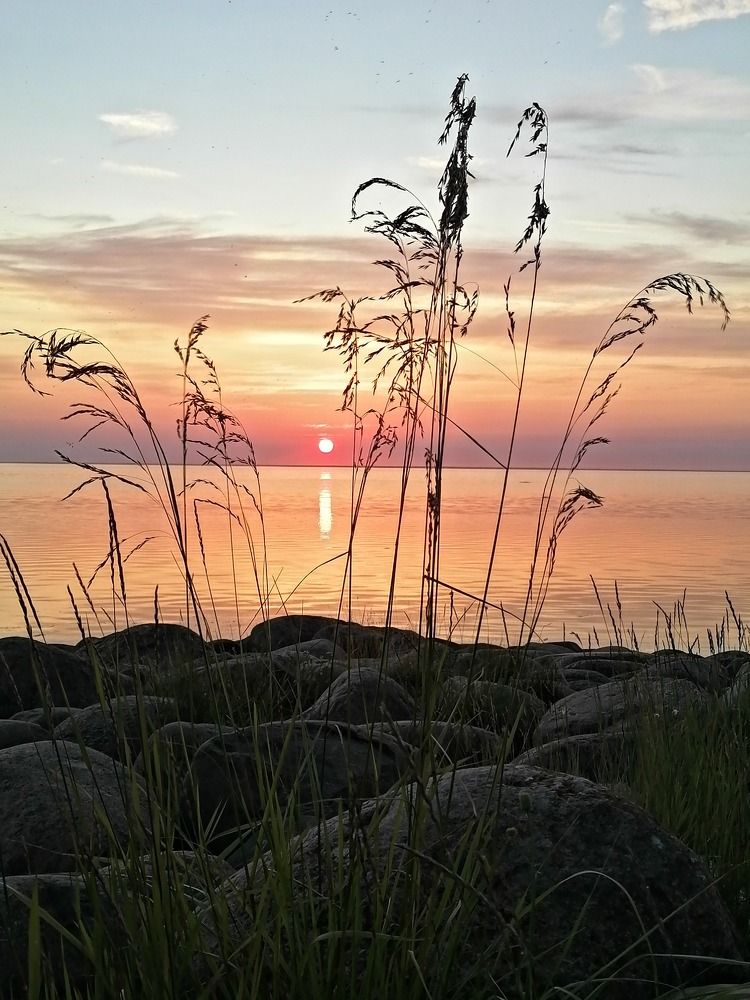 Trought the curtains.