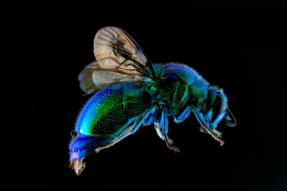 Photograph by Vinodkumar S