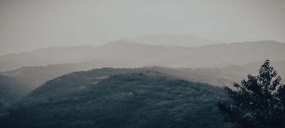 Photograph by Татьяна Фёдорова