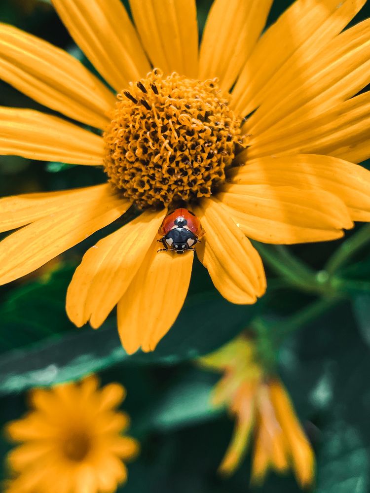 Photograph by Карина Мамлютова