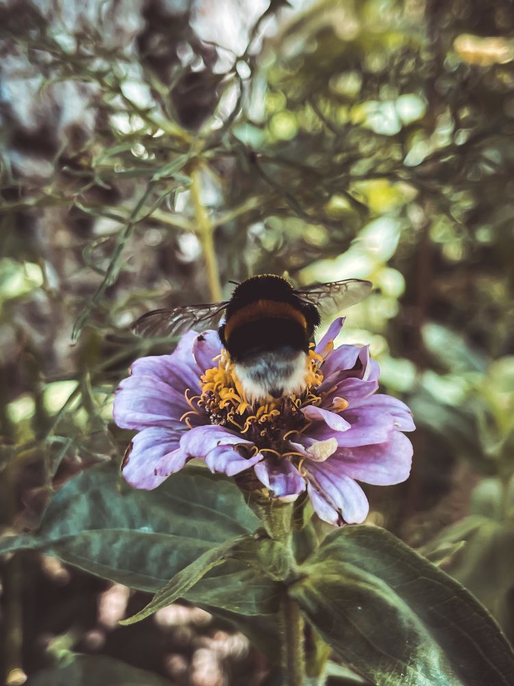 Photograph by Карина Мамлютова