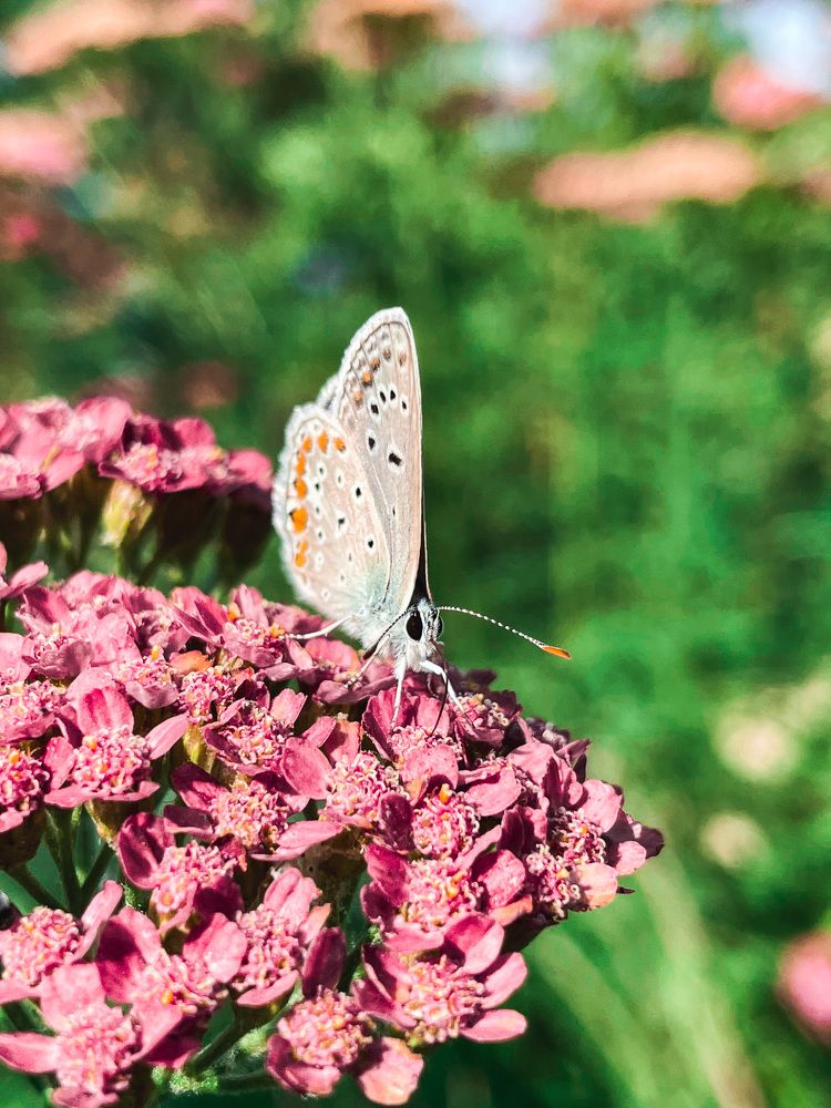 Photograph by Карина Мамлютова