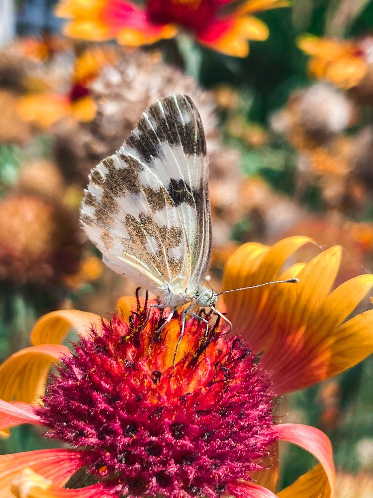 Photograph by Карина Мамлютова