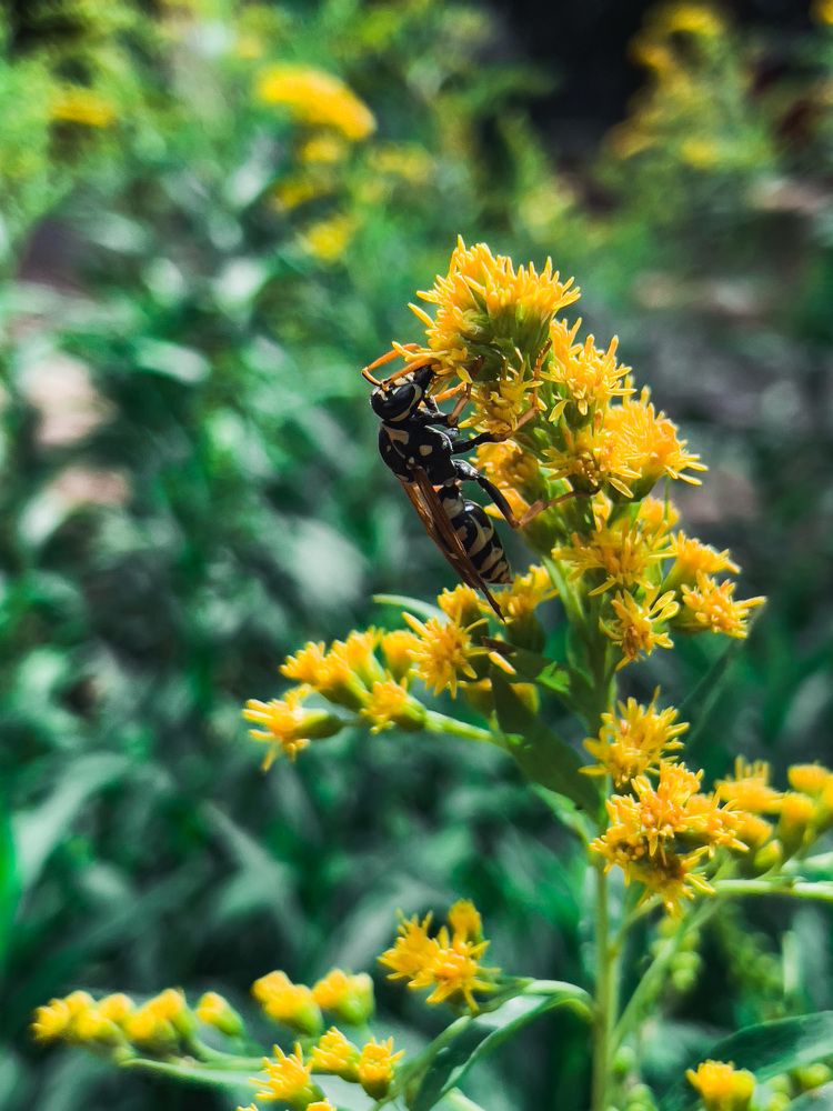 Photograph by Карина Мамлютова