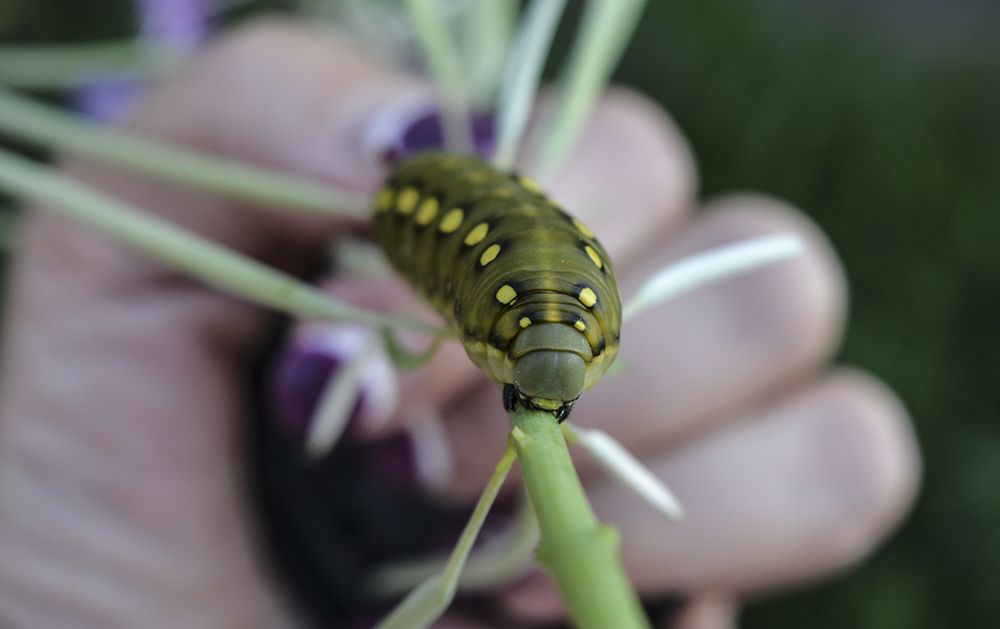 Photograph by Марина Никулина