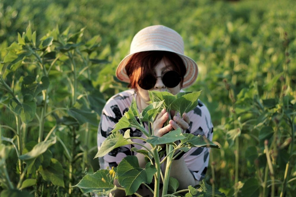 Солнечный акцент