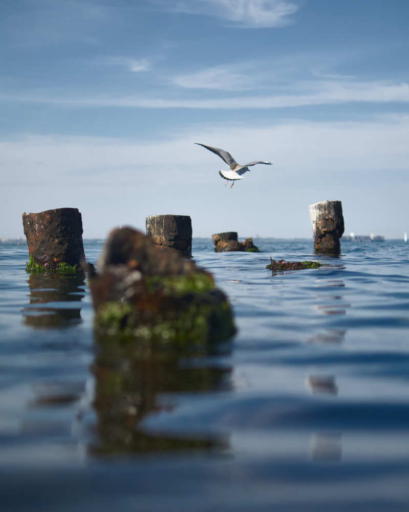 Photograph by Эн Скляров