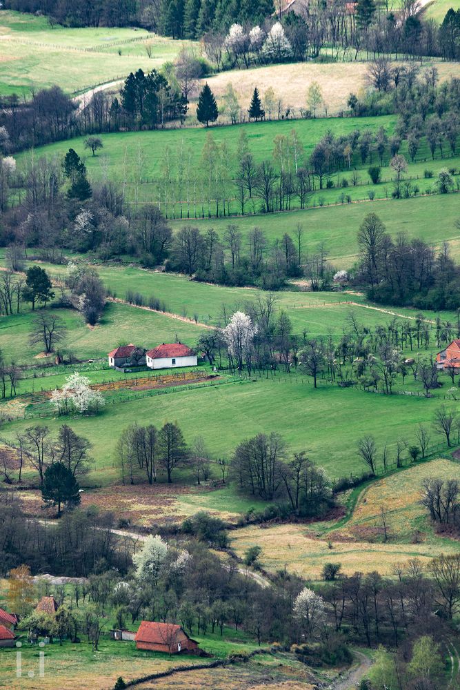 Photograph by ivan ilijevski