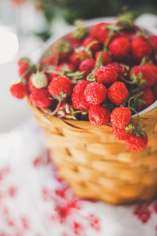 Photograph by Жанна Цветкова