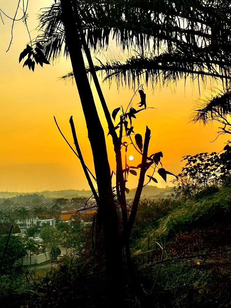 Sunrise in the morning