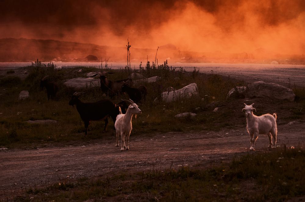 Photograph by Ирина Секачева