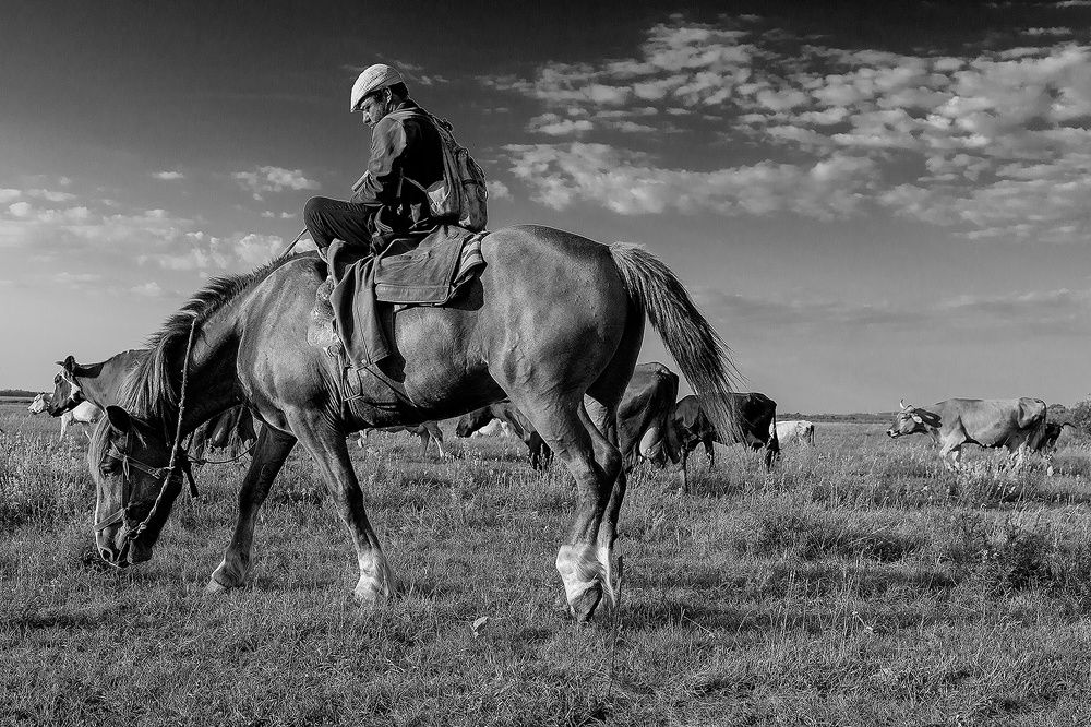 Photograph by Владислав Никишин