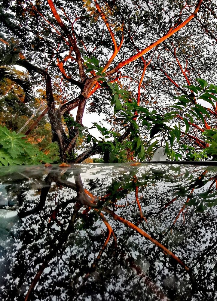 Photograph by Chunhou Poon