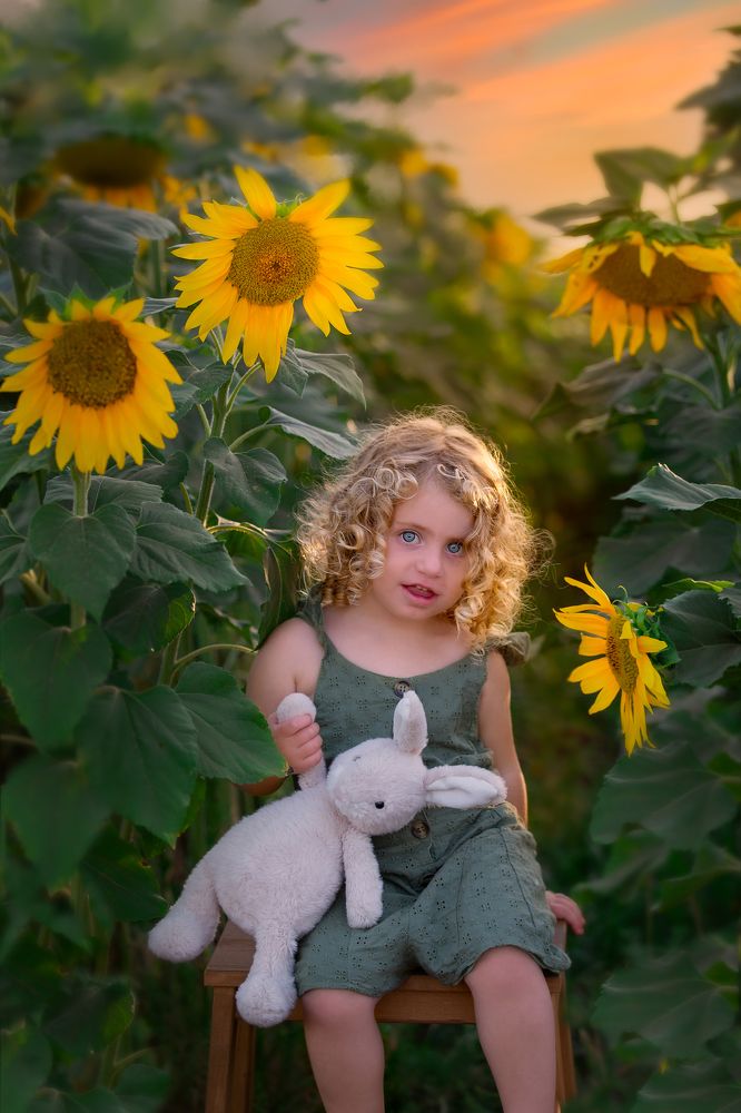 Photograph by Hamutal Avioz