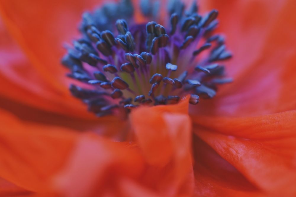 Photograph by Нина Писклова