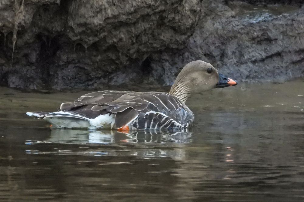 Photograph by Александр Бакин