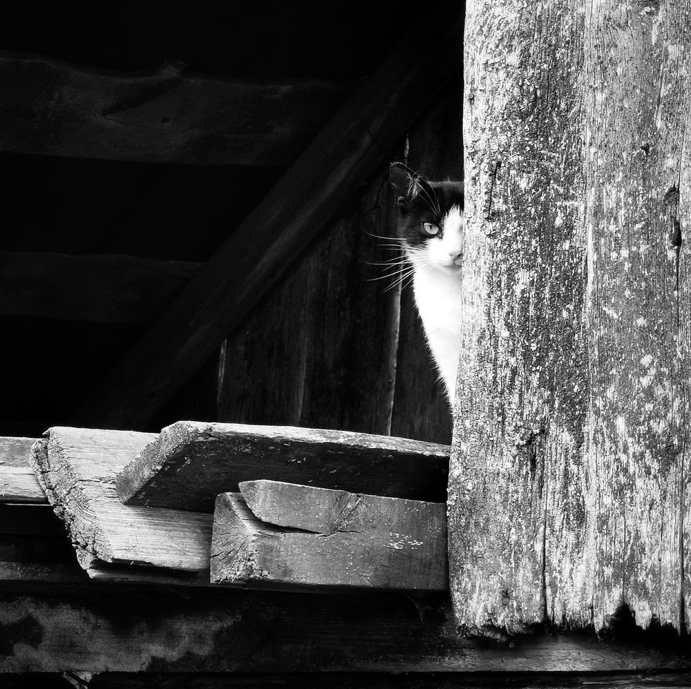 Photograph by Светлана Денисова