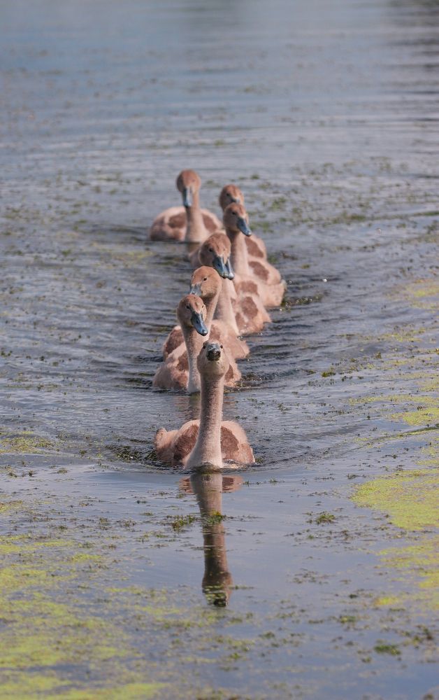 Фотография автора Svirin Vadim