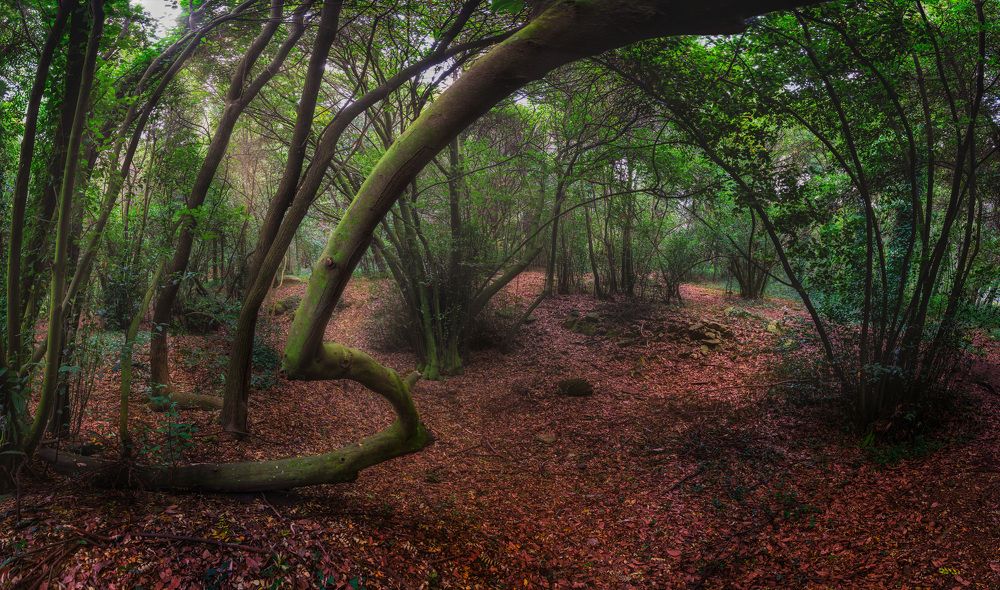 Photograph by Andrés Miraglia