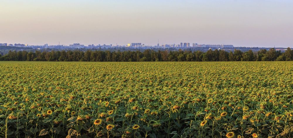Город и закат..