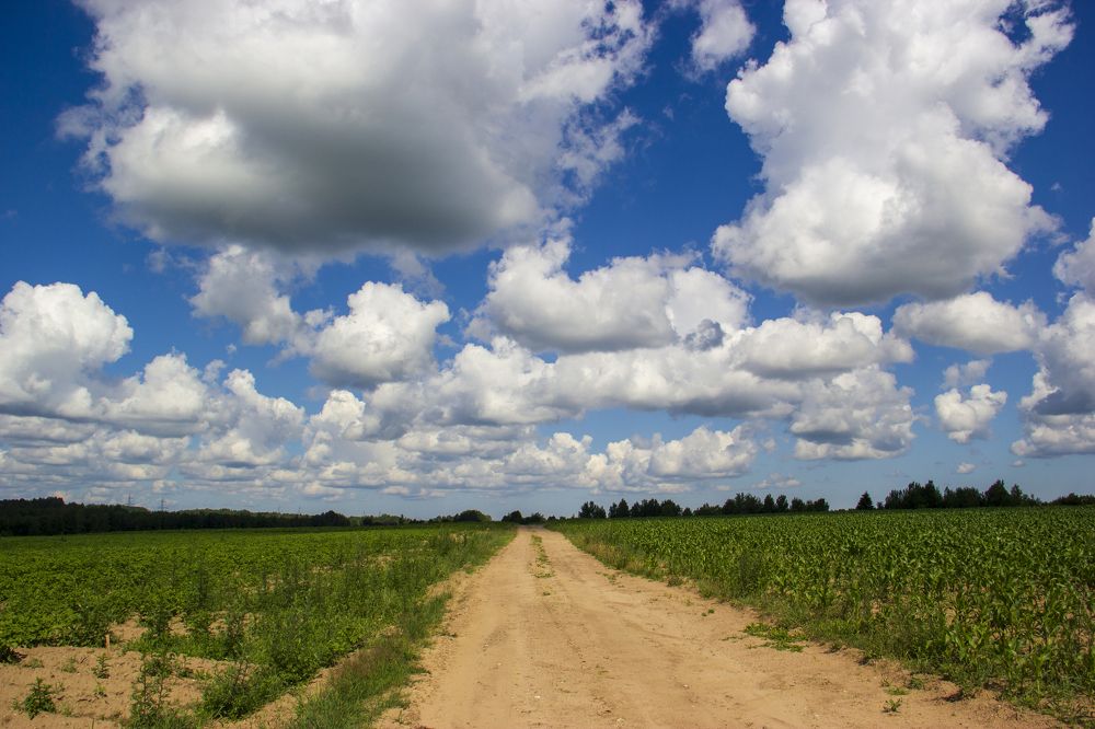 Photograph by Анна-Лаймуте Милошевич