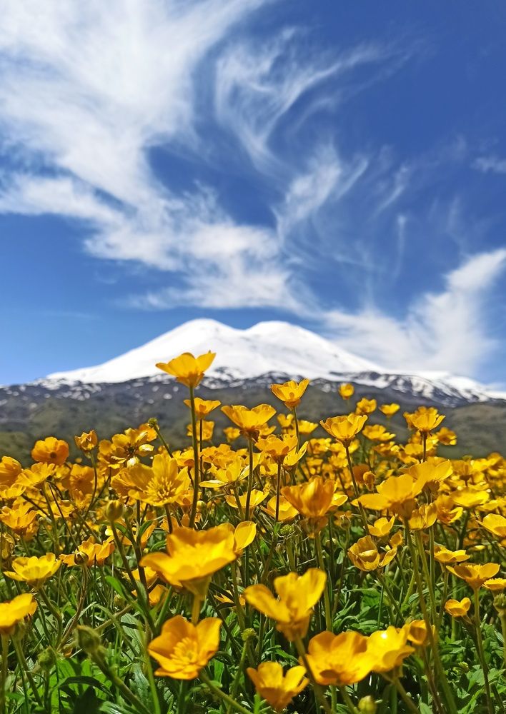 Photograph by Дина Бодрова