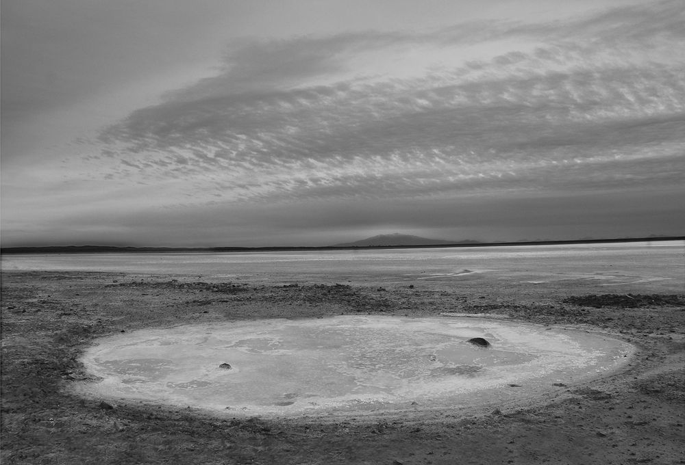 Salinas