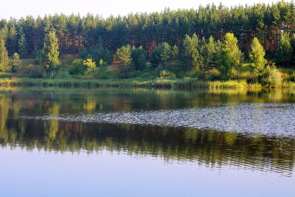 Жаркое лето