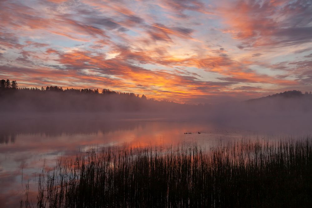 Photograph by Марина Новожилова