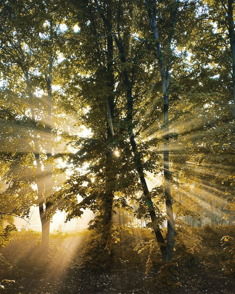 Photograph by Роман Паламаренко