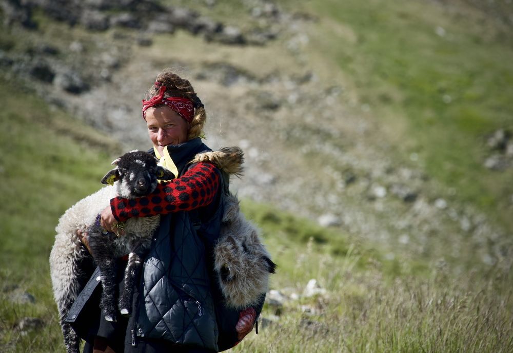Из жизни румынских пастухов