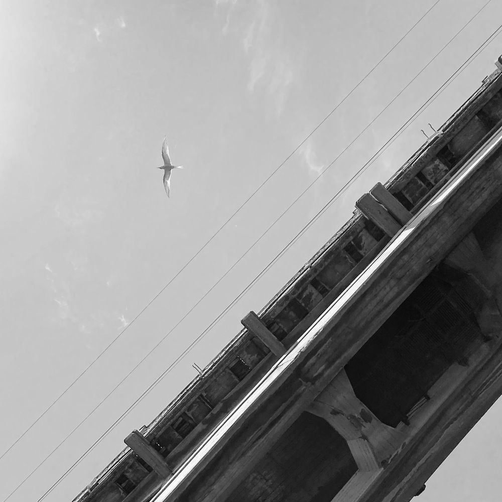 Photograph by Роман Паламаренко