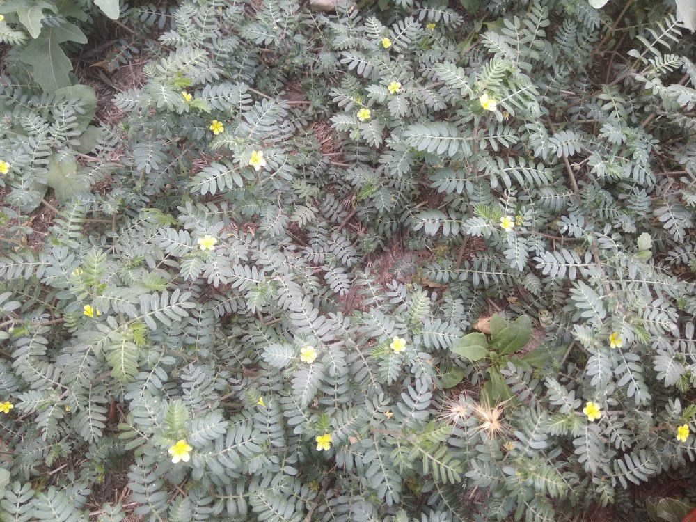 Photograph by Татьяна Ситникова