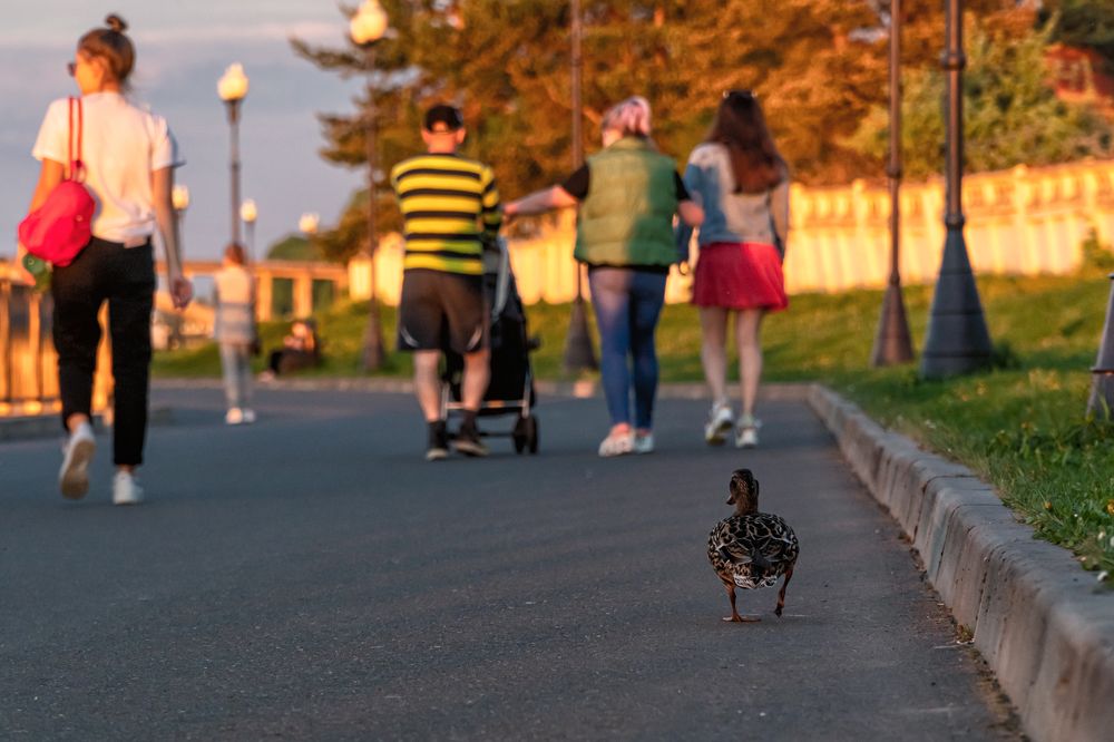 Photograph by Александр Колляков